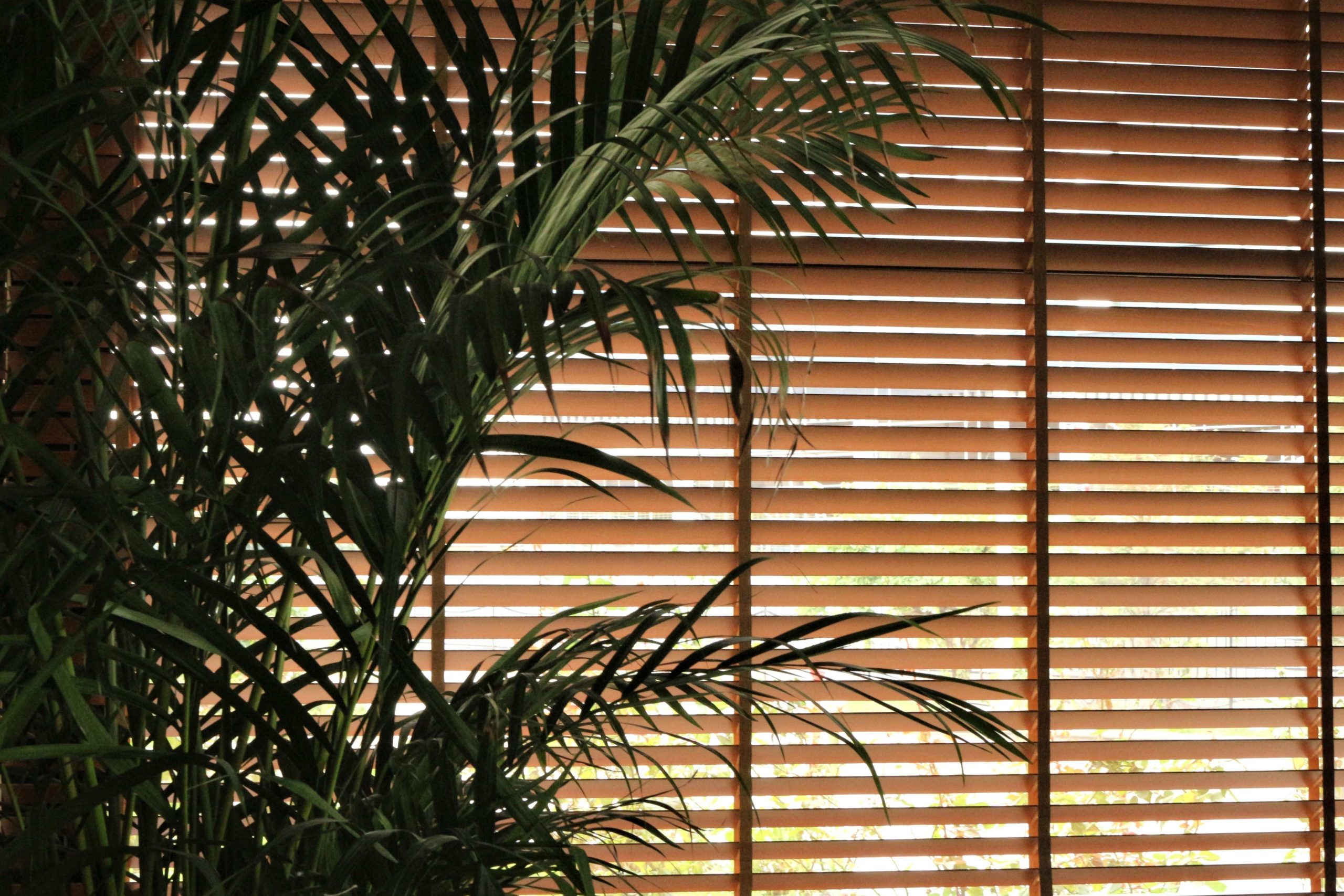 Reasons To Decorate With Window Blinds