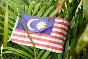 Jalur Gemilang flag on a green plant