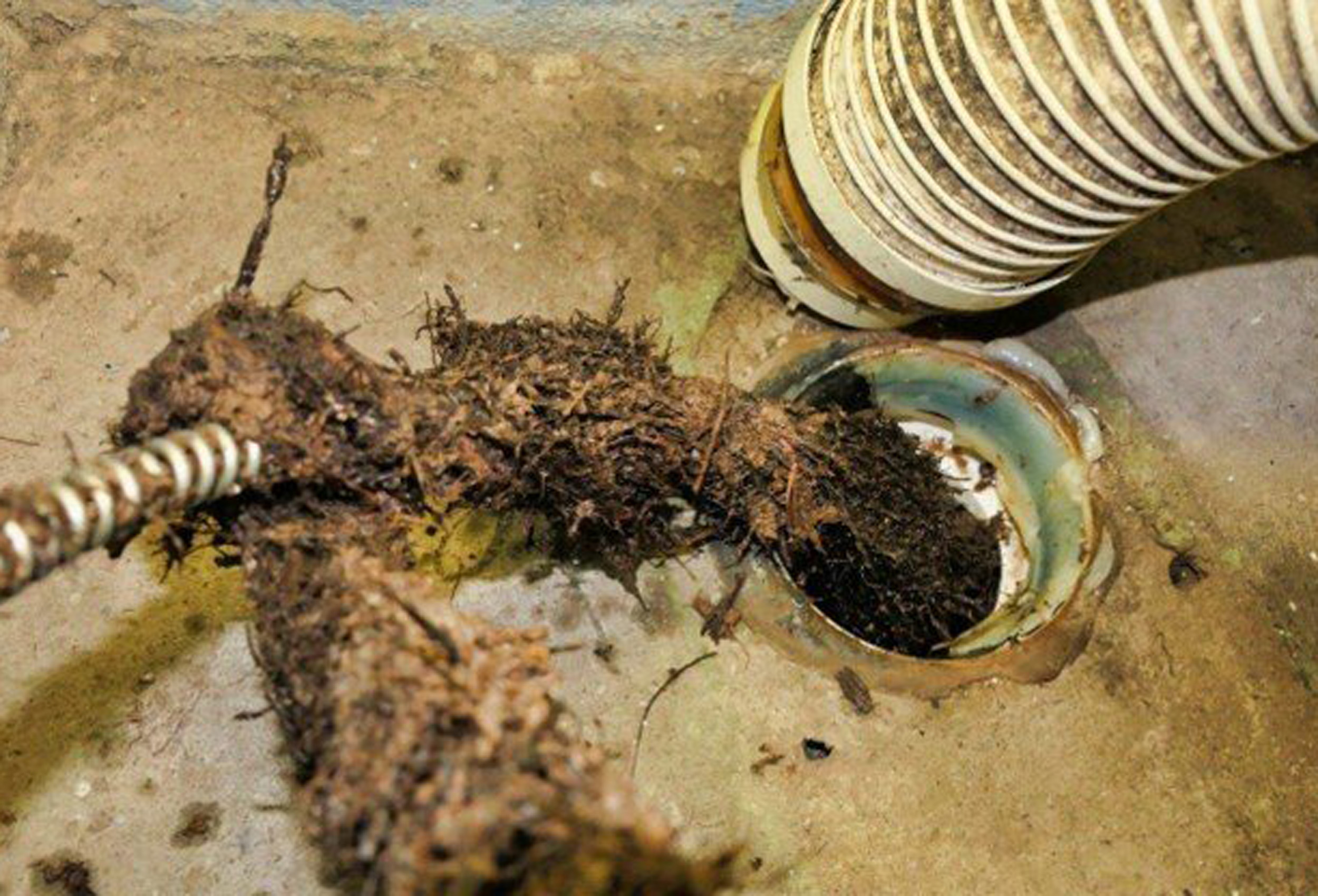 When Drains Block: Your Emergency Clearance Guide